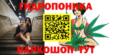 трава Лесосибирск