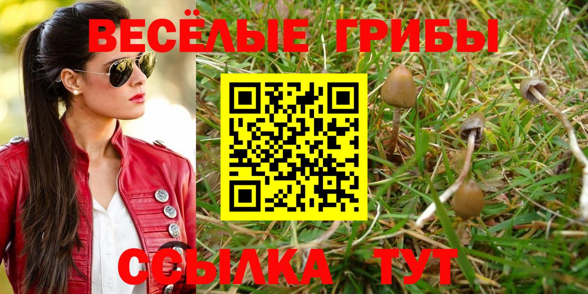 Галлюциногенные грибы прущие грибы Донецк